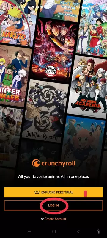 How to Watch Anime in Hindi on App